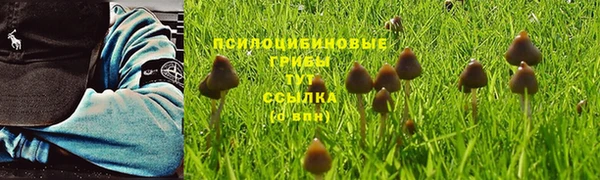 a pvp Володарск